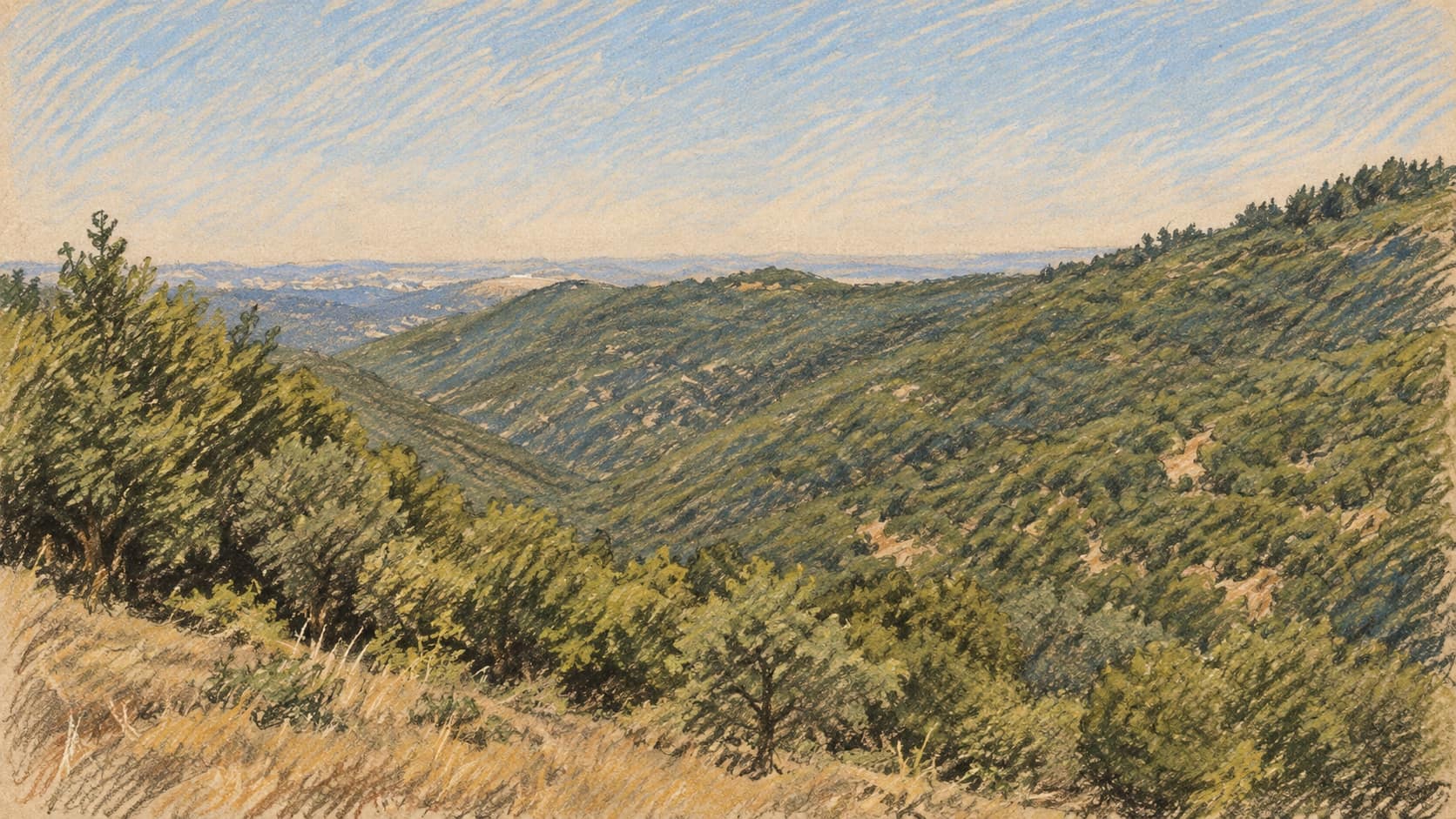 Courtroom-sketch editorial illustration of an archival Upper Galilee wooded valley and rolling hills, used as geographic context rather than a depiction of the explosion scene or police visit.