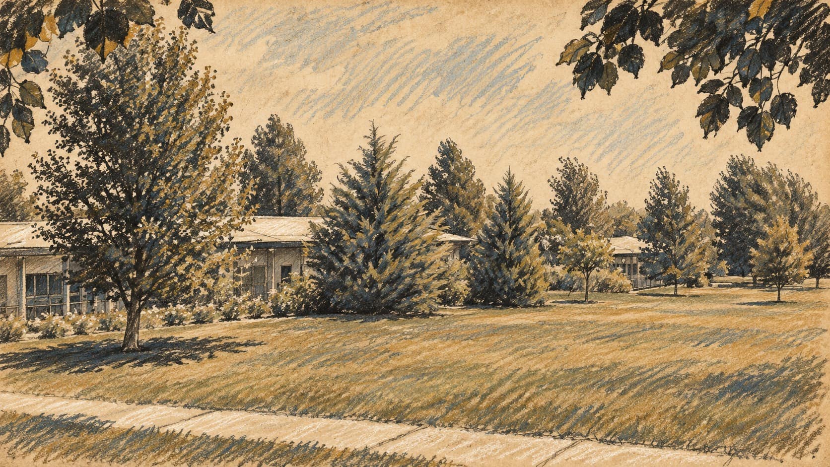 Courtroom-sketch editorial illustration of low hospital buildings, trees and a lawn at Kaplan Hospital in Rehovot, based on an archival 1960 view; contextual hospital grounds.