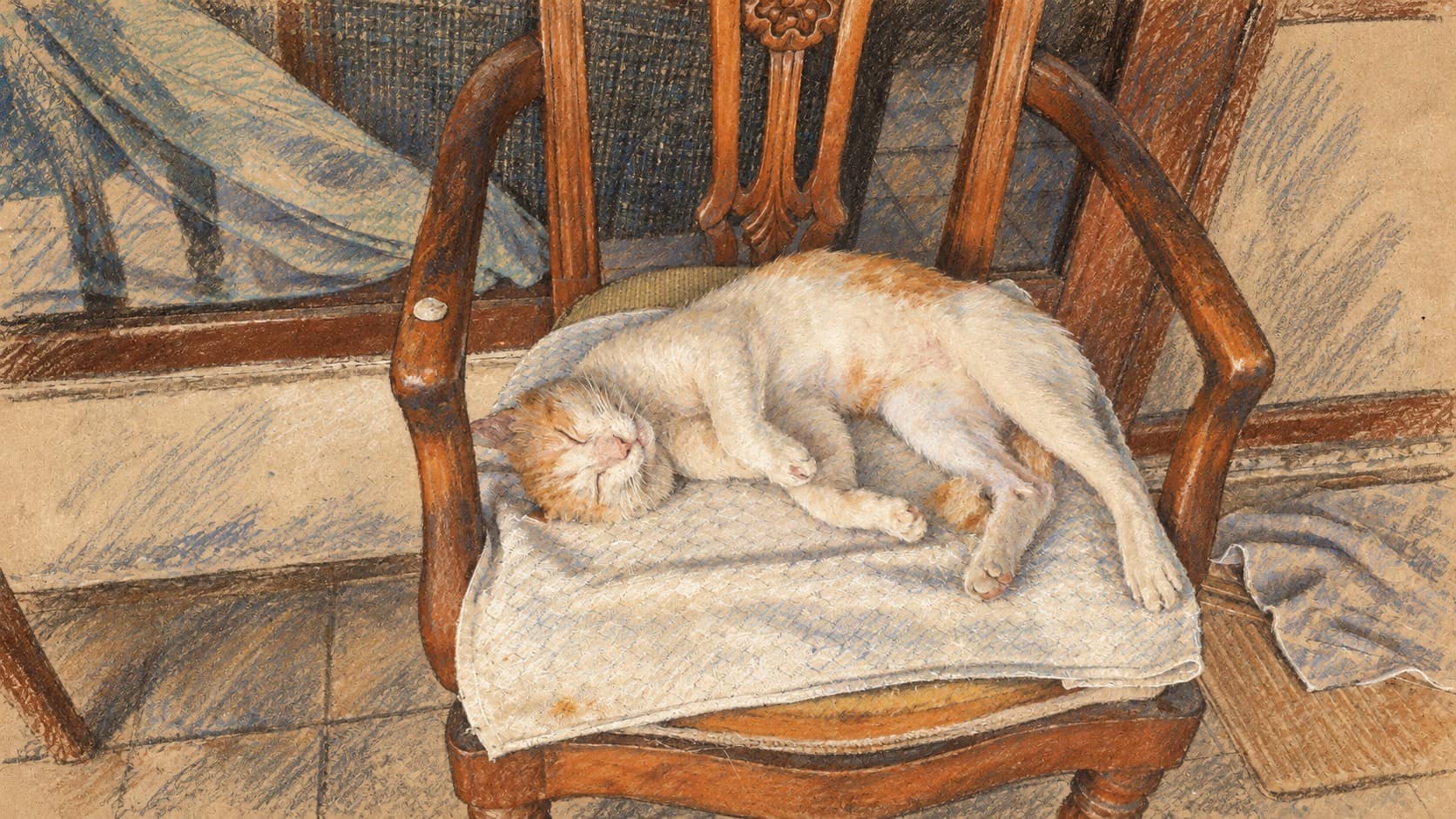 Courtroom-sketch editorial illustration of a white-and-orange cat sleeping on a cloth-covered wooden chair; contextual archival scene, not the cat reported in Mashhad.