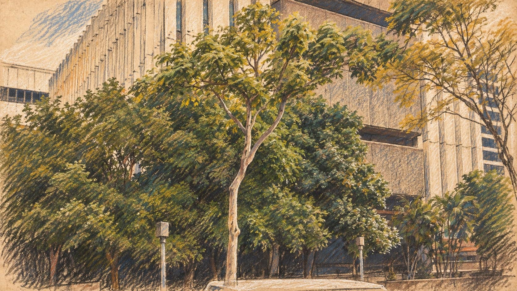 Courtroom-sketch editorial illustration of an archival 2005 exterior of the former Brisbane Law Courts on George Street, with pale concrete facades behind leafy trees; institutional context, not the current courthouse or the October 2026 hearing, rendered in warm ochre and slate-blue pastel strokes.
