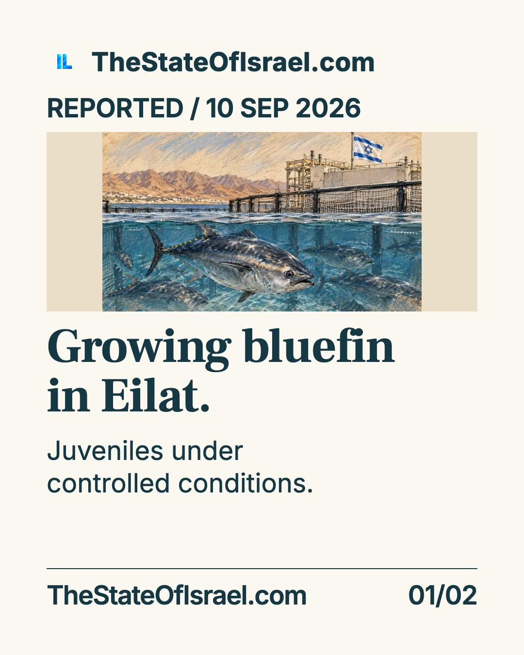 Growing bluefin in Eilat. Eilat researchers are raising juvenile Atlantic bluefin tuna. A complete captive-breeding cycle remains the National Tuna Project’s research goal.