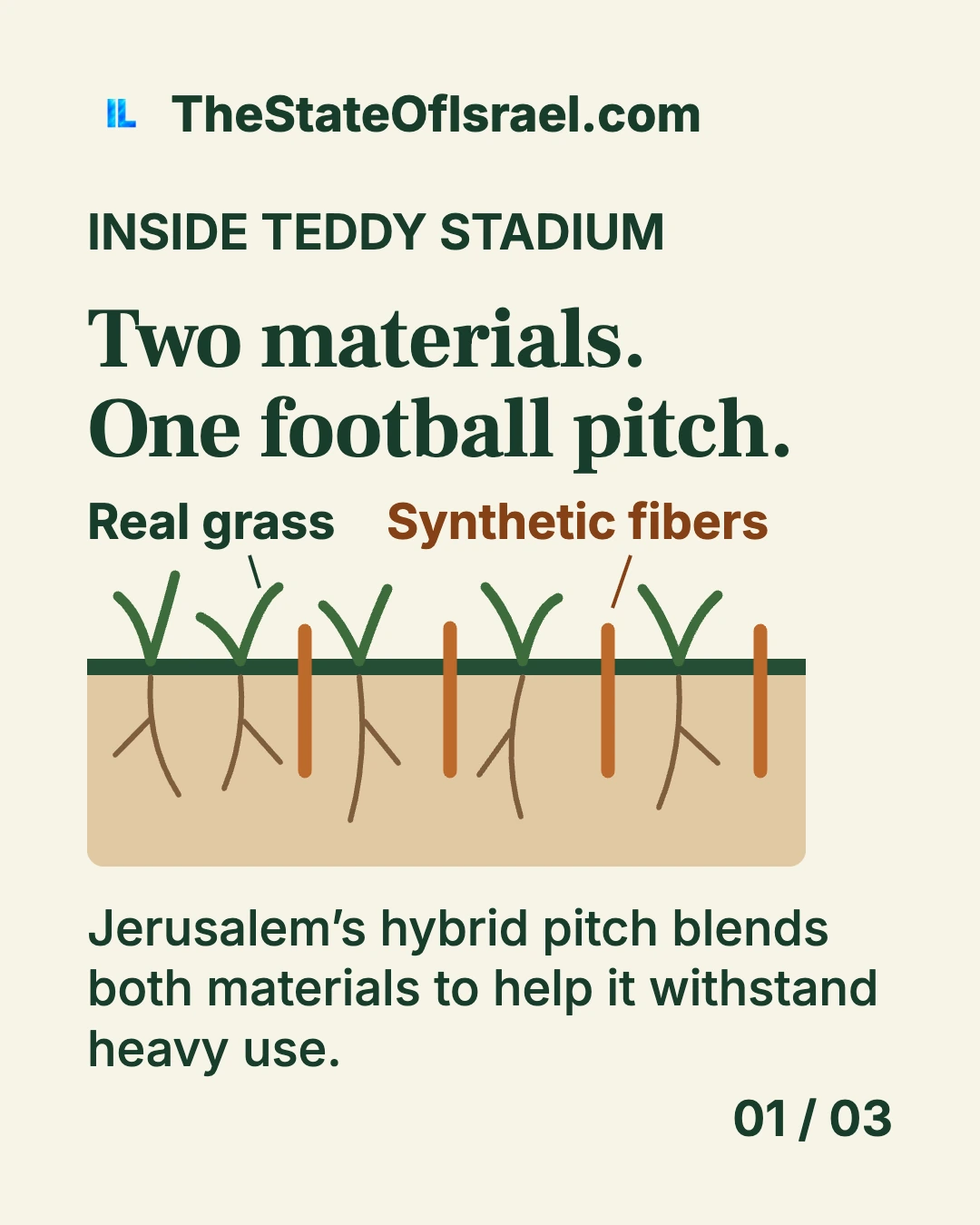 Cross-section of a football pitch with living grass, roots and synthetic reinforcing fibers labeled.